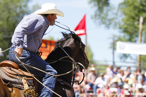 Augusta Rodeo