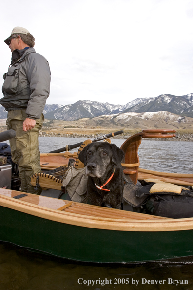 Flyfishermen and black Labrador Retriever in driftboat on Yellowstone River, Montana.