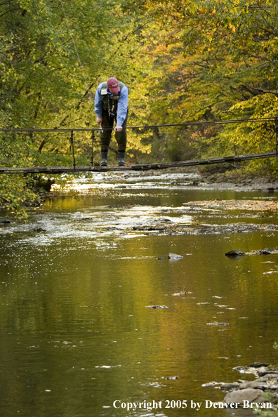 Flyfisherman looking at water from footbridge over creek.