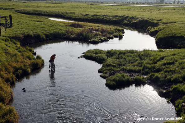 Flyfisherman fishing warm springs