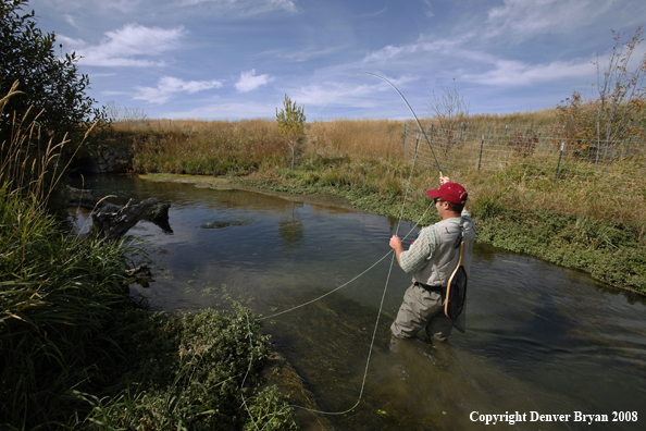 Flyfisherman in stream