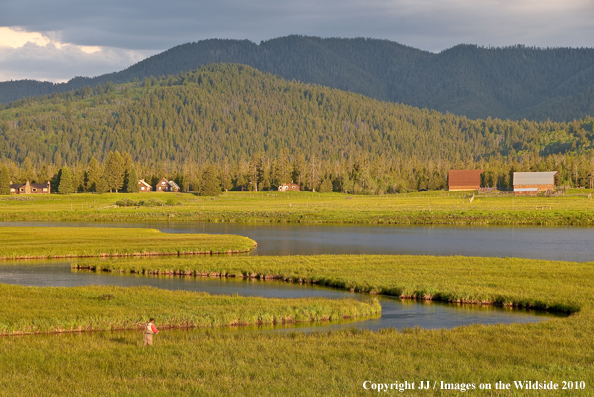 Henry's Fork, Idaho. 