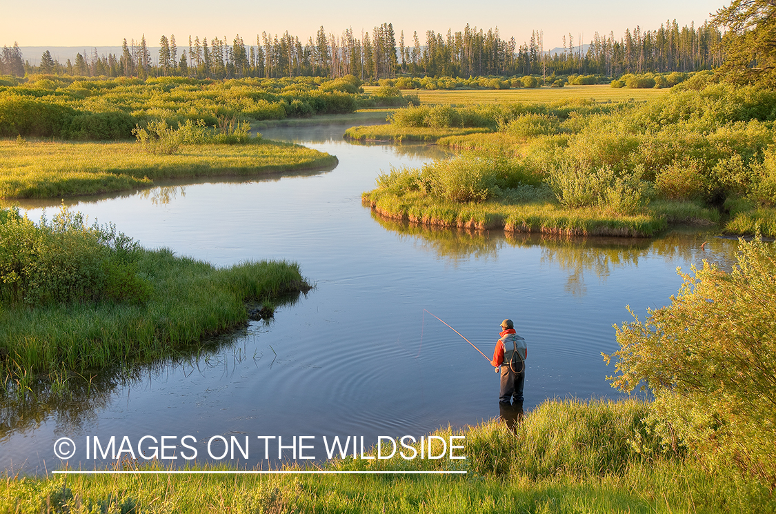 Flyfisherman on Duck Creek, MT.