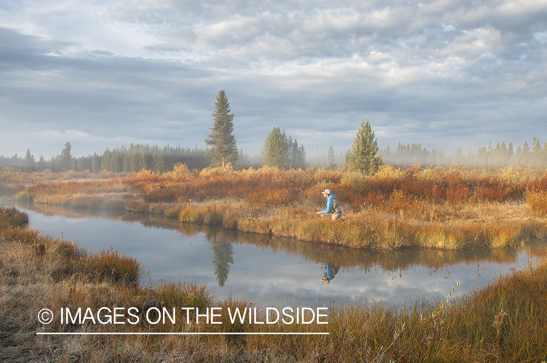 Flyfisherman fishing in pond at Yellowstone National Park.