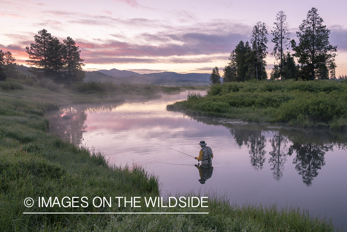 Flyfishing Duck Creek, Yellowstone National Park.