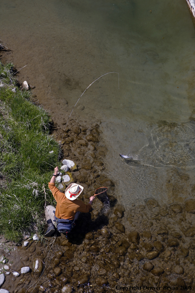 Flyfisherman fishing warm springs