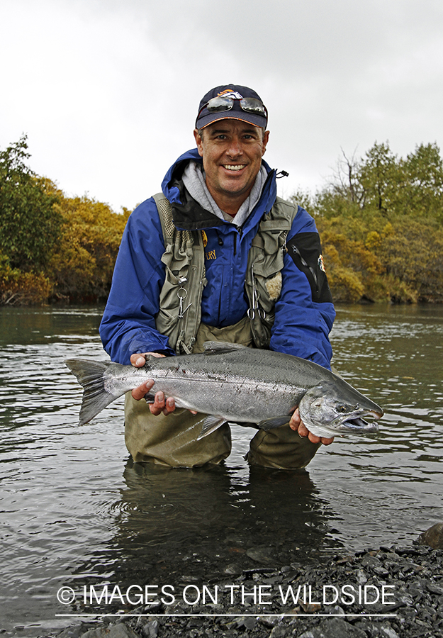 Flyfisherman with Silver Salmon, in Alaska.