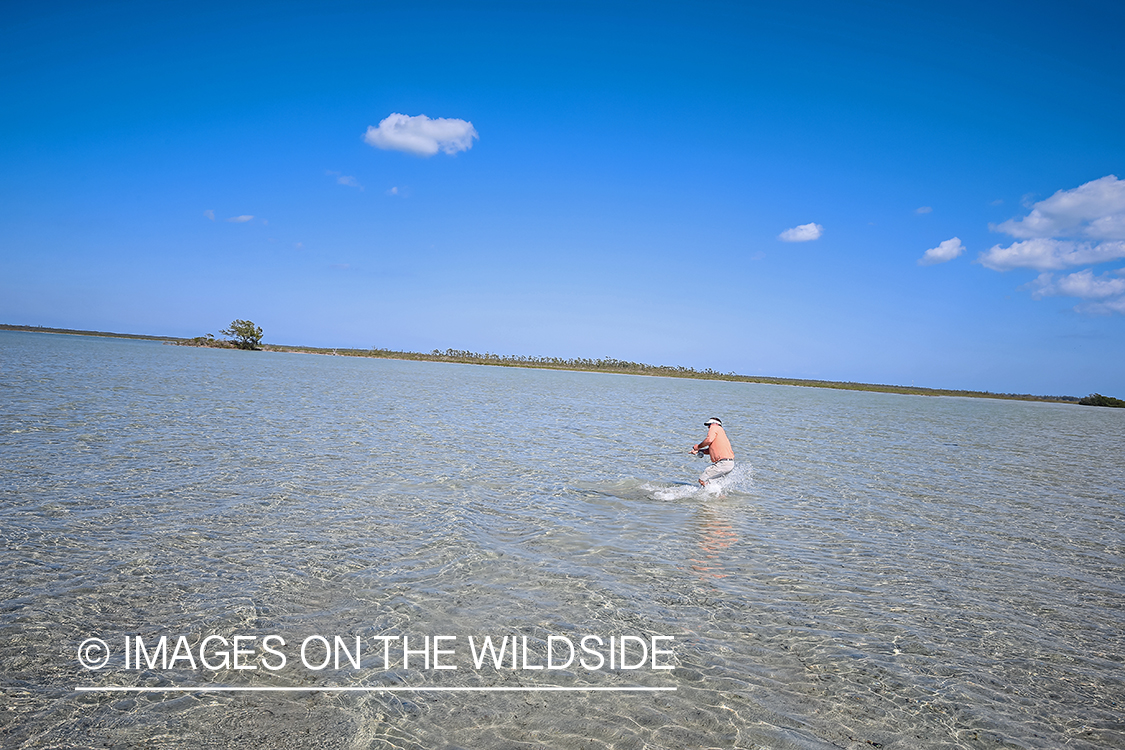 Flyfisherman fighting bonefish.