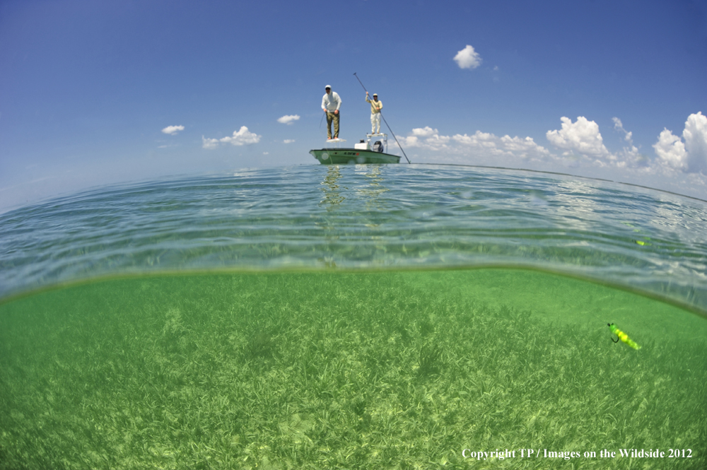 Flyfishing for Tarpon.