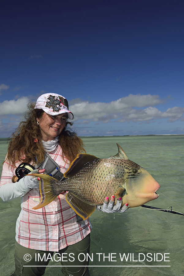 Woman with Peachy Triggerfish.