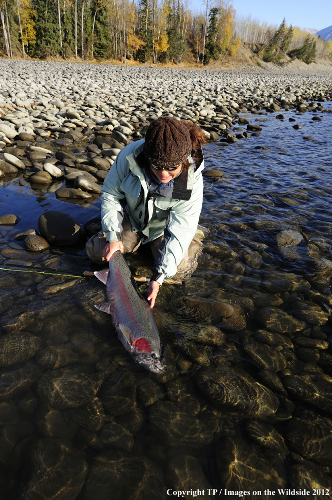 Fisherwoman with Steelhead Trout. 