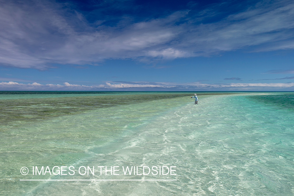 Flyfisherman on St. Brandon's Atoll flats, Indian Ocean.