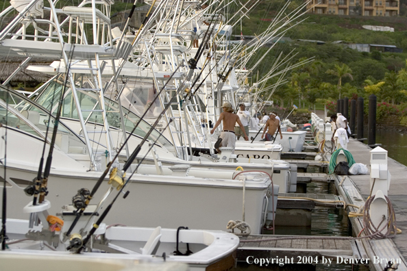 Deep sea fishing charter boats in marina.