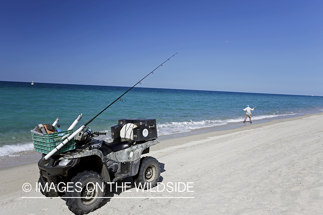 Chasing roosterfish on Baja Peninsula, Mexico.