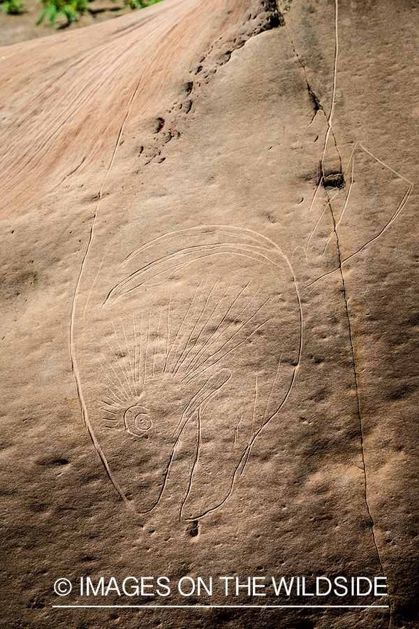 Flyfishing for Golden Dorado in Bolivia. (stone carving)