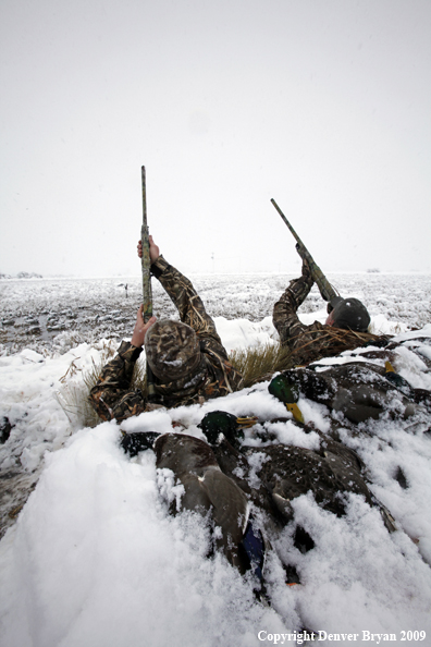 Waterfowl hunters aiming guns.