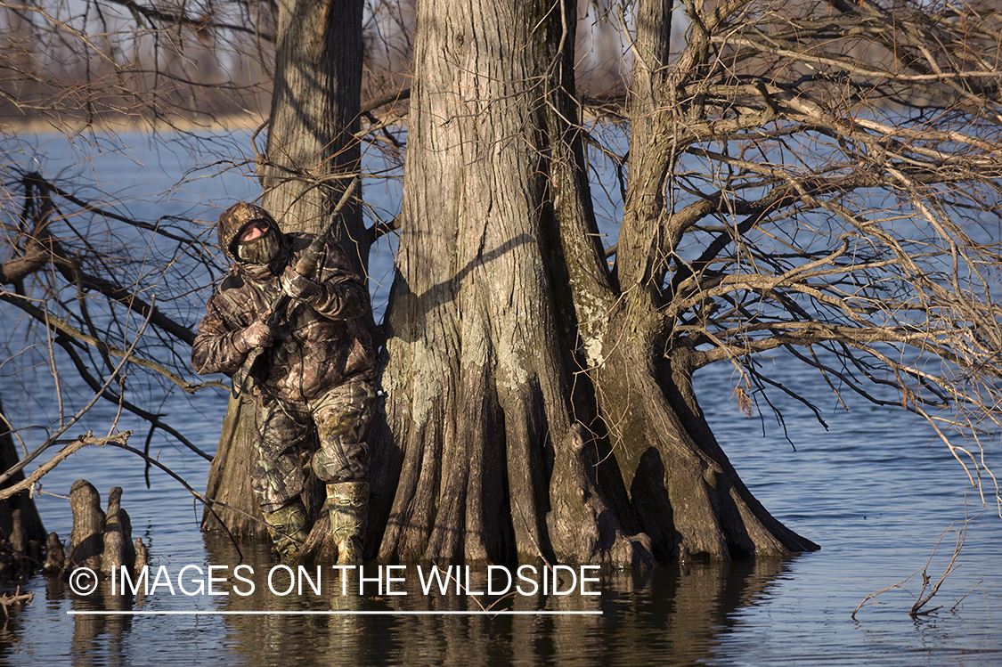 Waterfowl hunter camouflaged in wetlands.