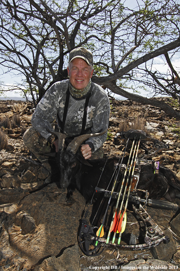 Bowhunter with bagged feral goat.