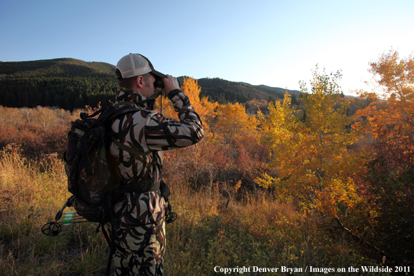 Bow hunter scouting for big game. 