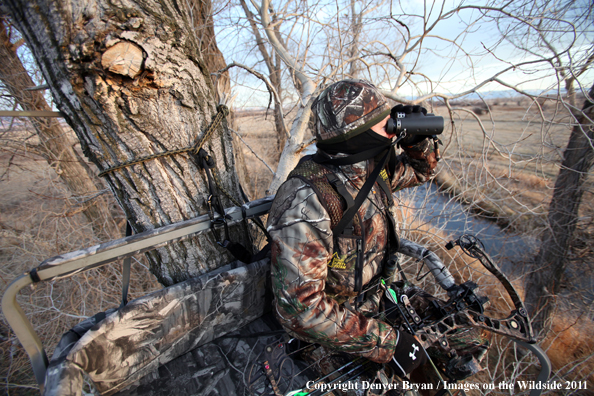 Bowhunter scouting from tree stand. 