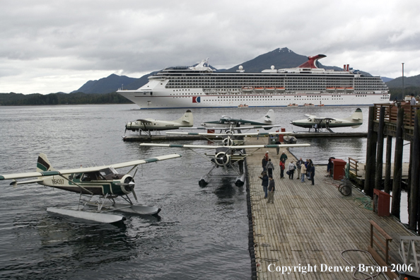 Float planes in front of a cruise ship.  (Alaska)