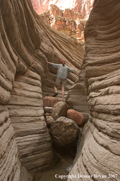 Hiker exploring feeder stream of the Colorado River.  Grand Canyon.