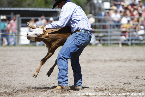 Augusta Rodeo