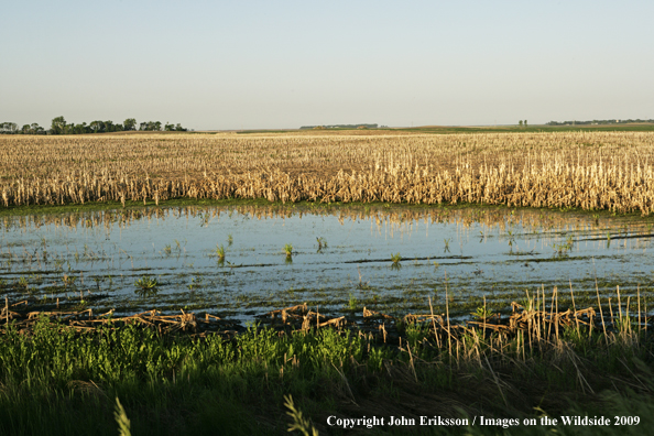 Wetlands near crop fields