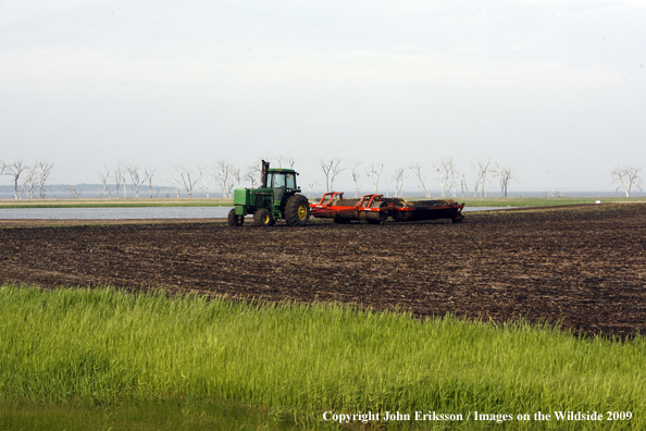 Farmer working field near wetlands