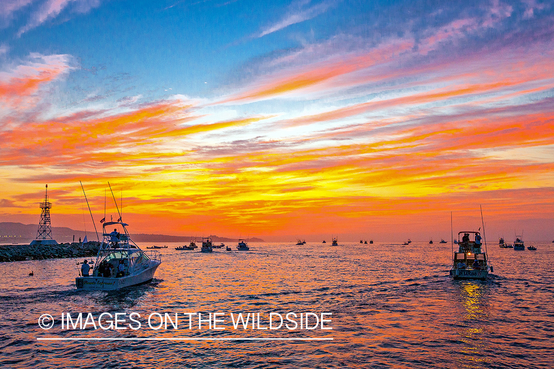 Deep sea fishing boats heading out to sea.