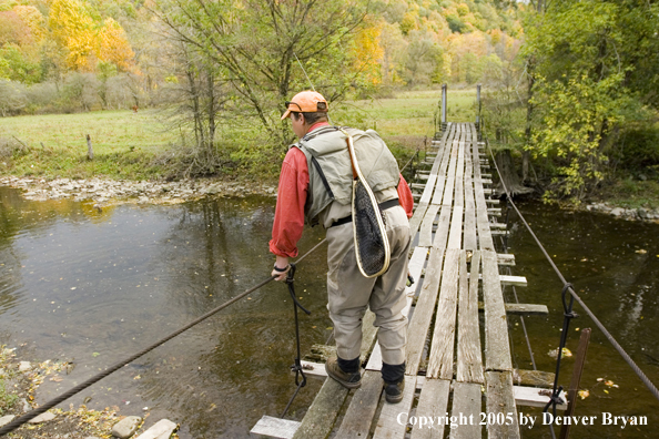 Flyfisherman looking at water from footbridge over creek.