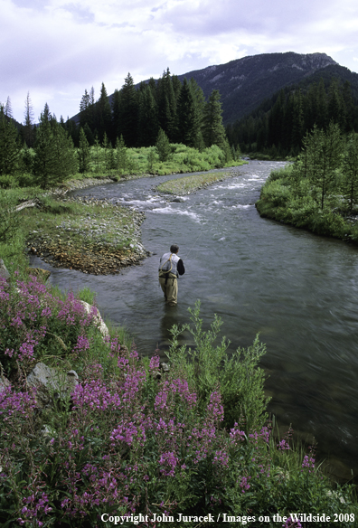 Flyfishing at Beaver Creek