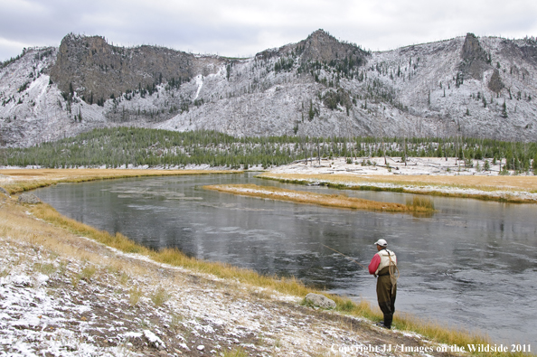 Flyfishing on the Madison River, Yellowstone National Park. 