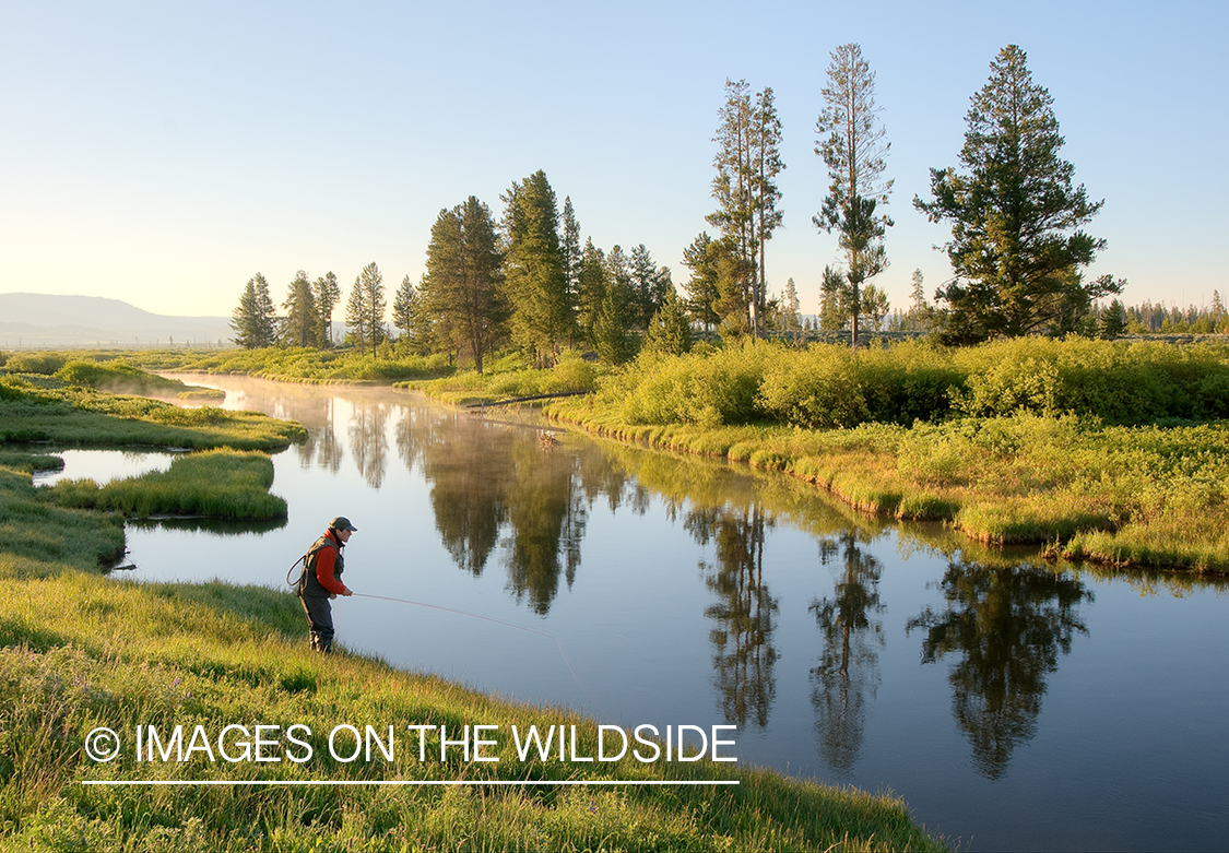 Flyfisherman on Duck Creek, MT.