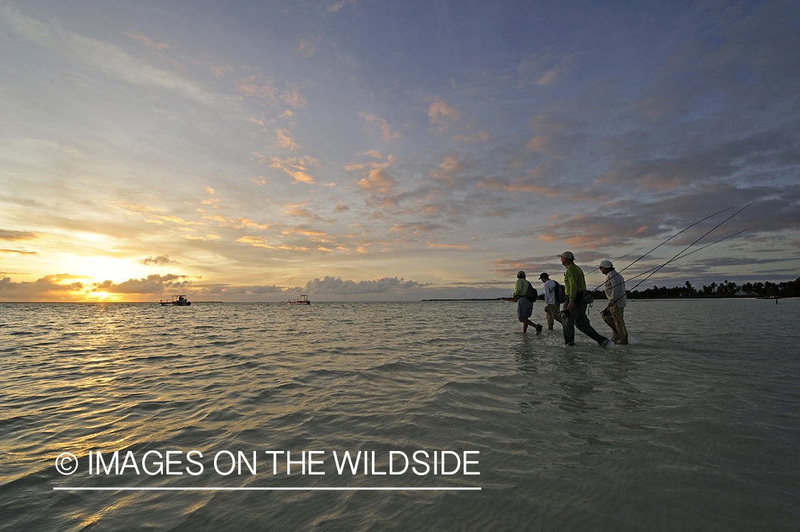 Flyfishermen in shallows.