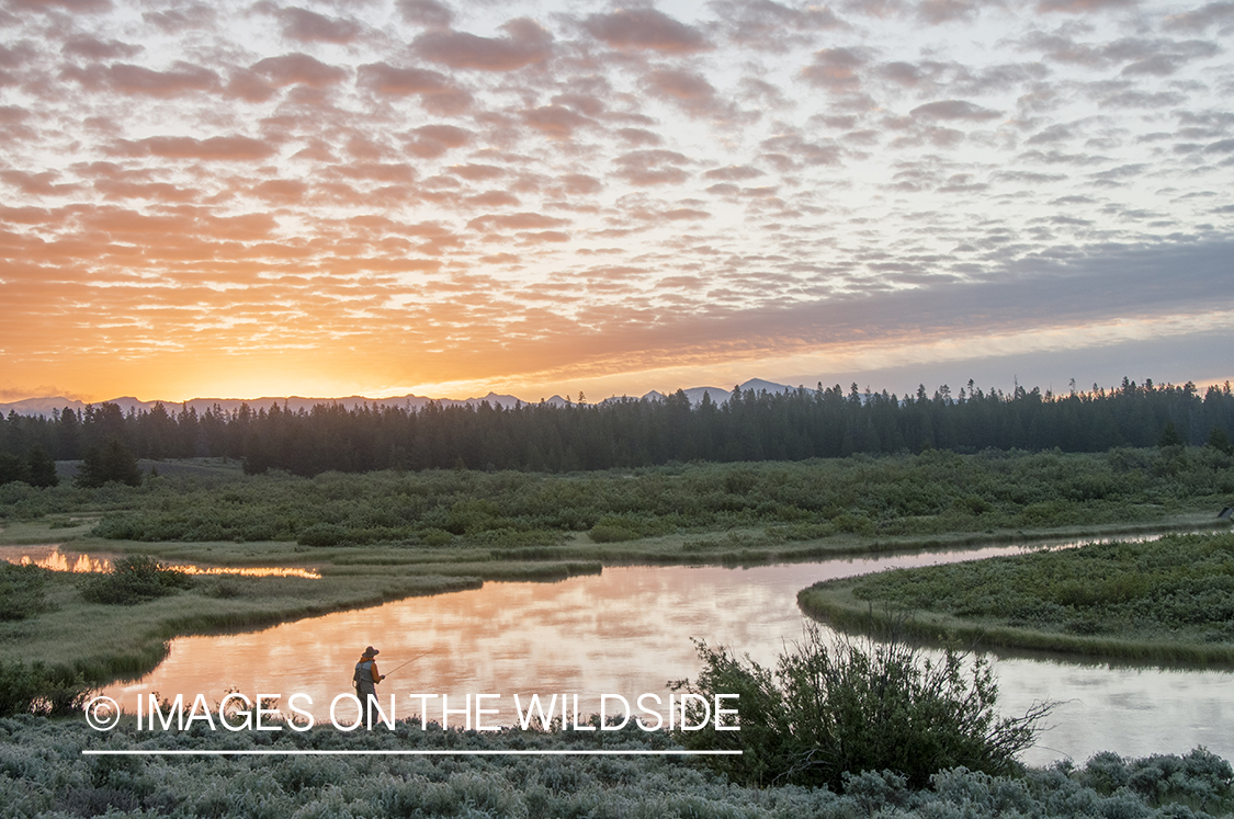 Flyfisherman fishing at S. Fork Madison at sunrise.