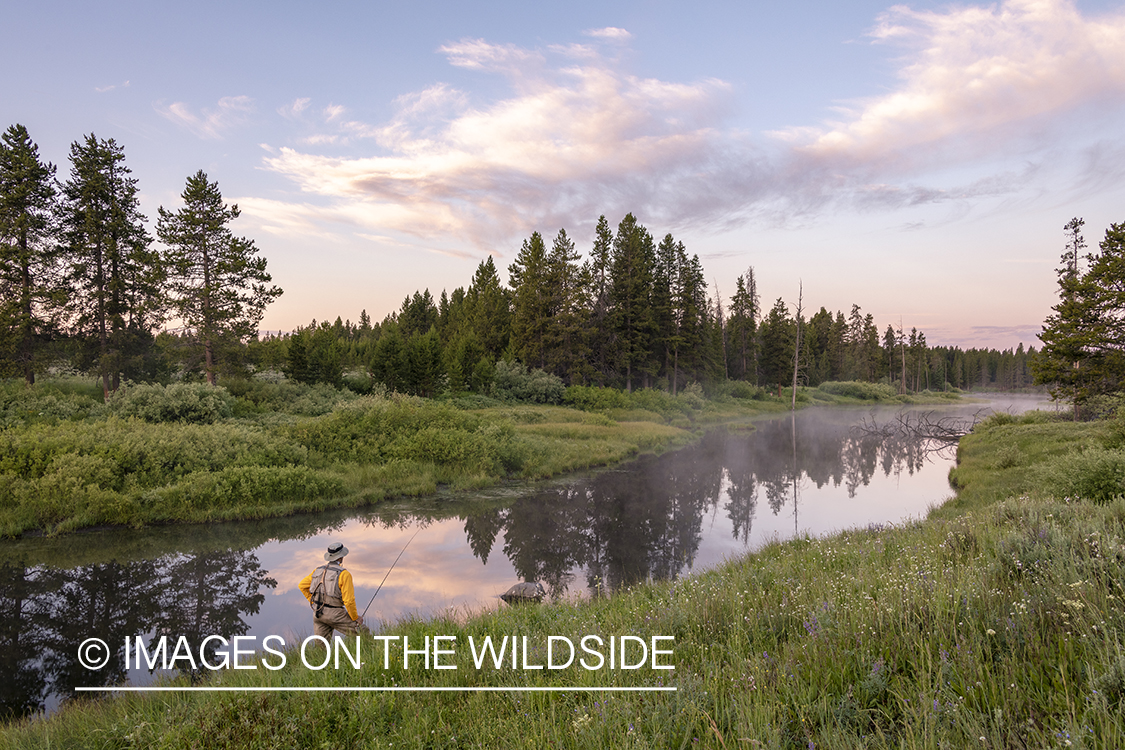 Flyfishing Duck Creek, Yellowstone National Park.