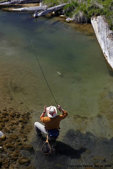 Flyfisherman fishing warm springs