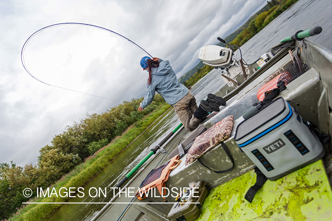 Flyfisher Camille Egdorf fighting fish on Nushagak river, Alaska.