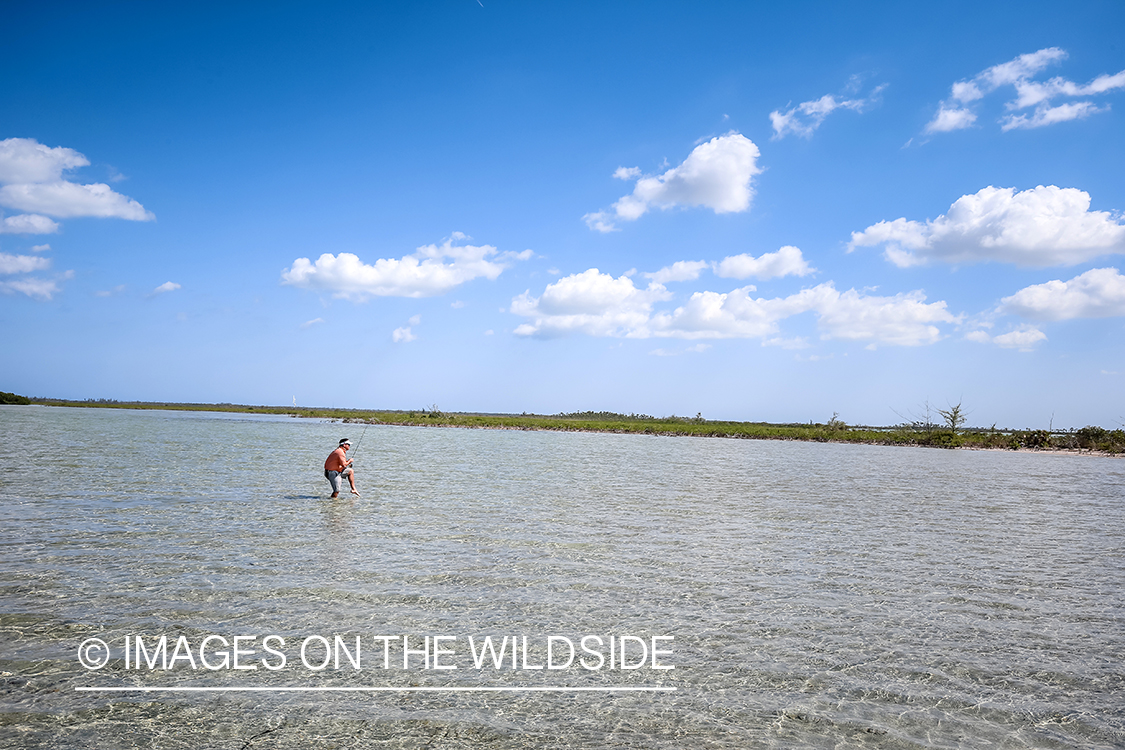 Flyfisherman fighting bonefish.