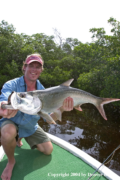 Flyfisherman w/tarpon 