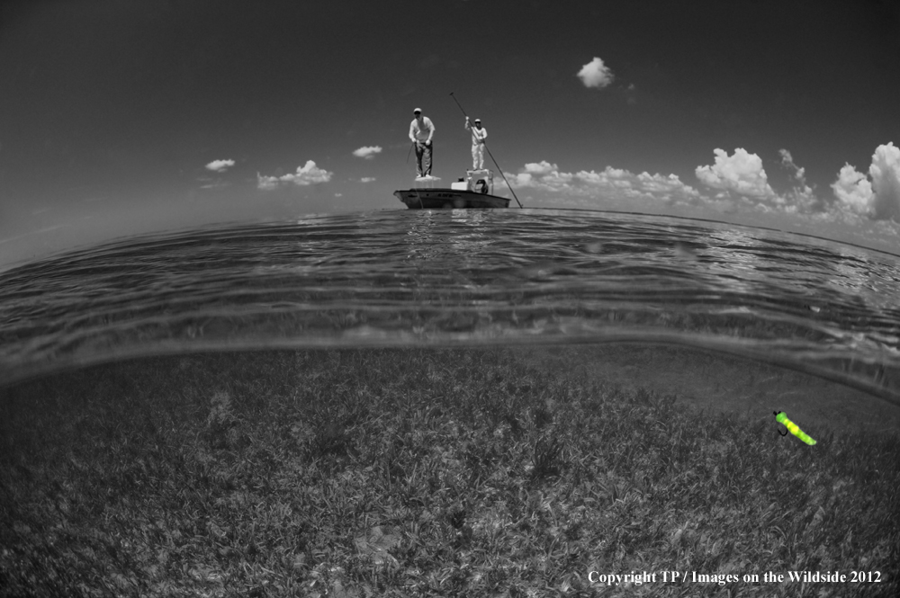 Flyfishing for Tarpon BW.