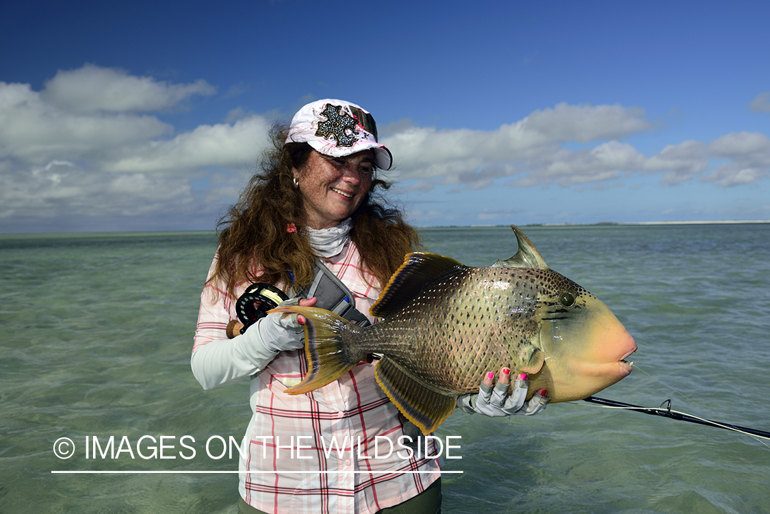 Woman with Peachy Triggerfish.