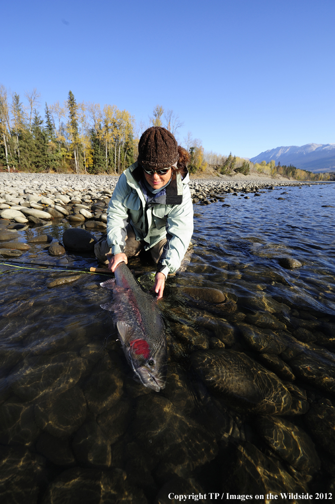 Fisherwoman with Steelhead Trout. 