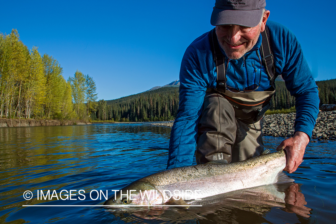 Flyfishing for steelhead on Nass River, British Columbia.