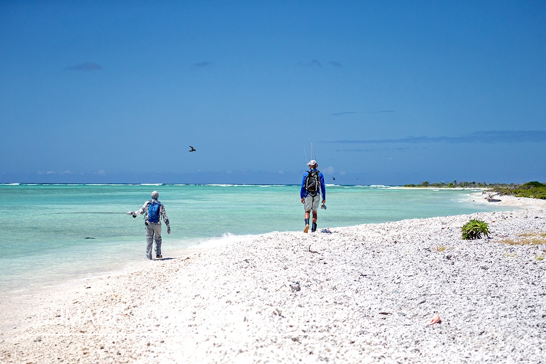 Flyfisherman on St. Brandon's Atoll flats, Indian Ocean.