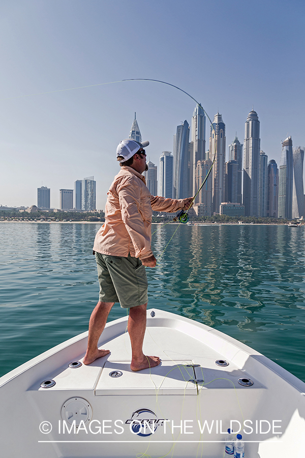 Flyfishing for queenfish off the coast of Dubai, UAE.