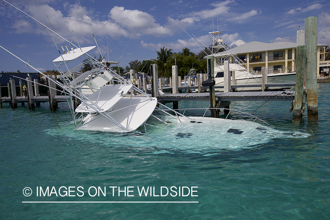 Fishing boat sunk at dock.