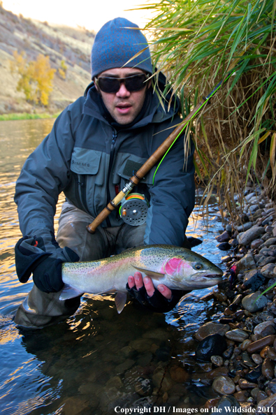 Flyfisherman with spey rod and Steelhead. 