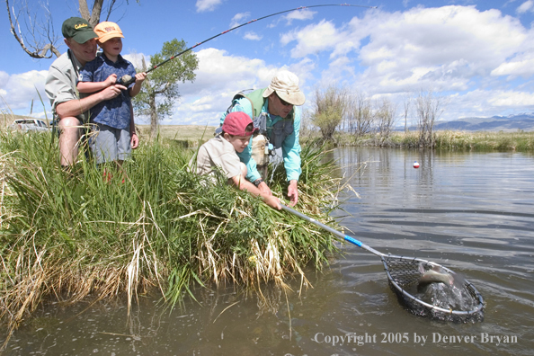 Fathers helping sons land trout.